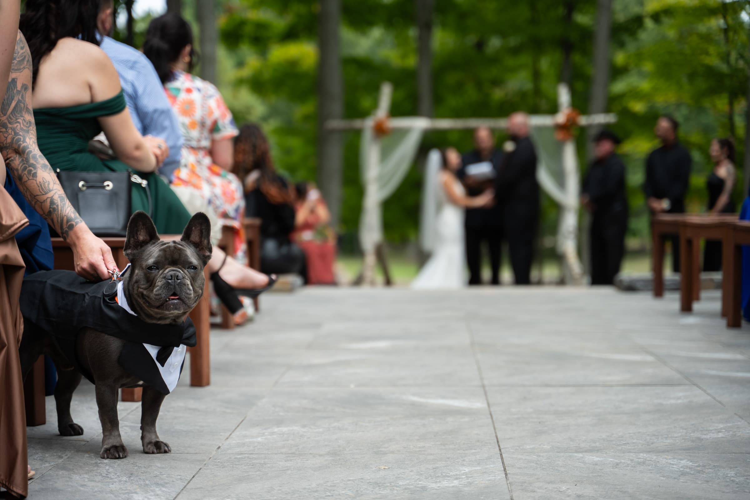 Dog during ceremony at Shadow Hill in Webster, NY | Rochester Wedding Photography